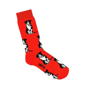 Border Collie Crew Socks in Red - Aussie Made