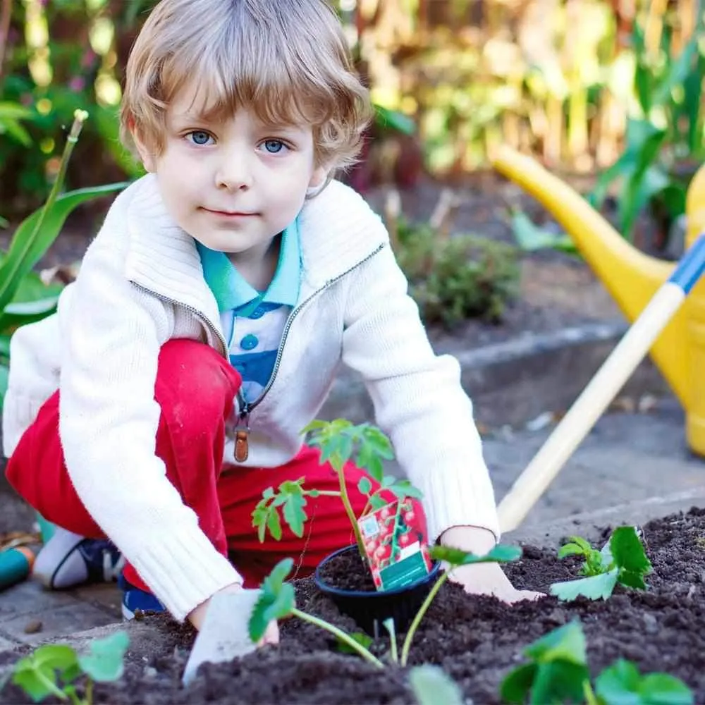 Grow Your Own "Raised Bed Kit"