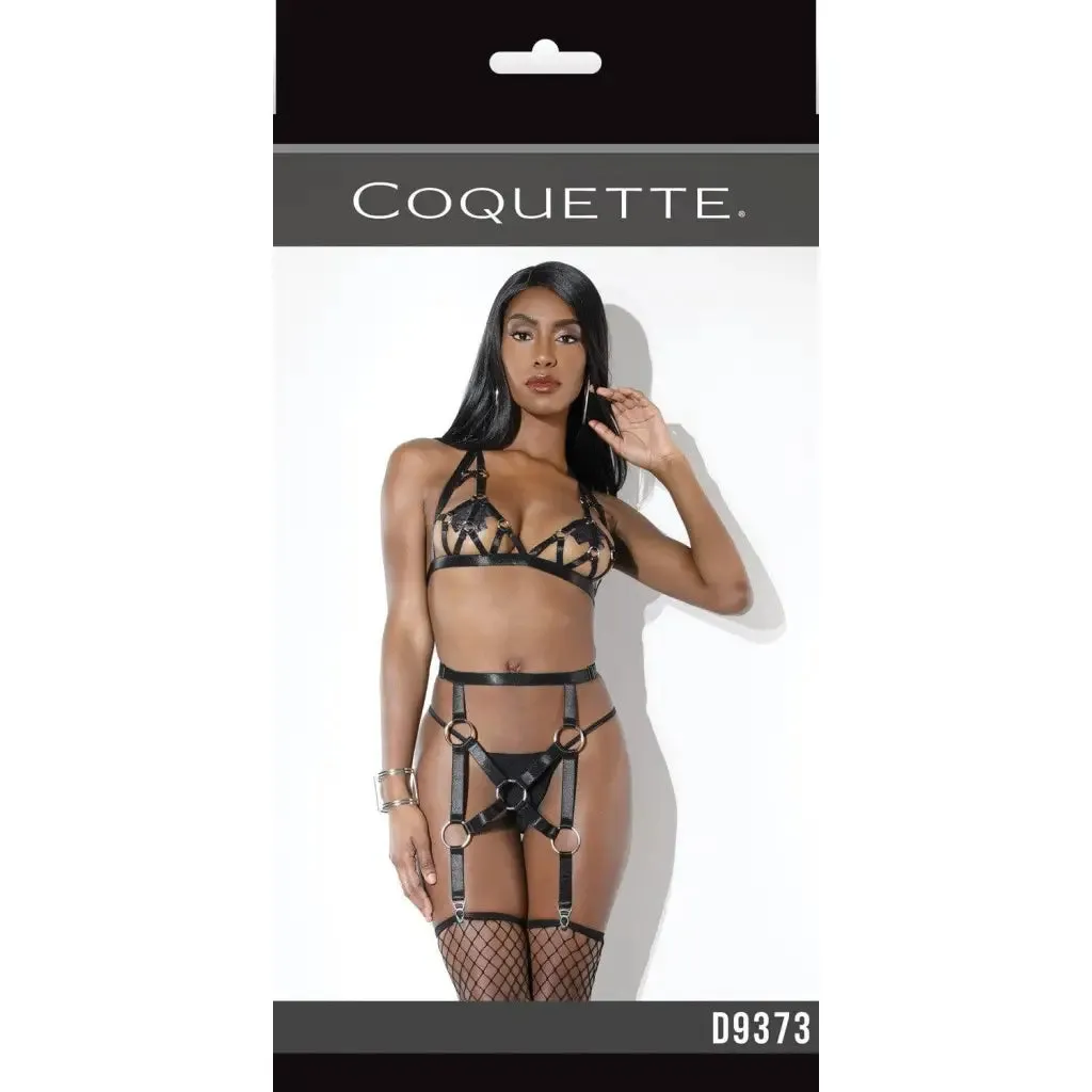 Harness Bra & Garter Belt