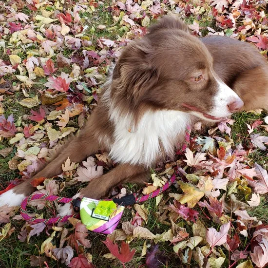 Poop Bags Pouch